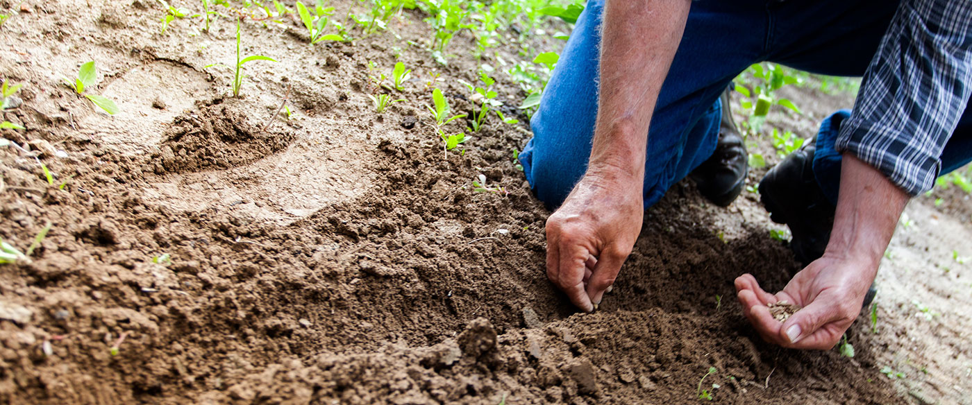 Implicancias laborales y tributarias de la Nueva Ley Agraria.