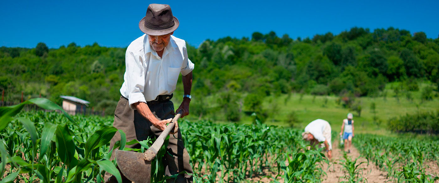 Entrevista: Ley de Cooperativas Agrarias