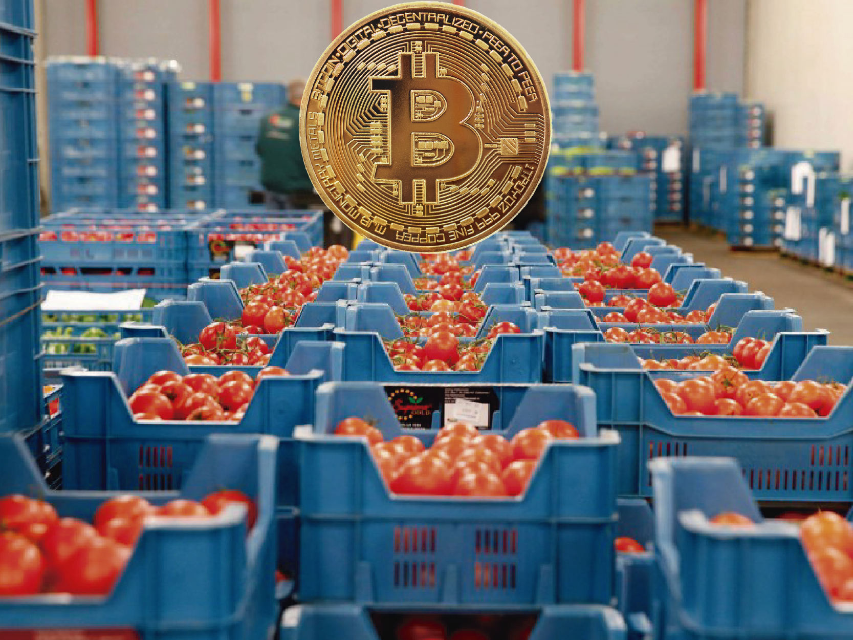 Las criptomonedas y los pagos internacionales en el comercio frutícola