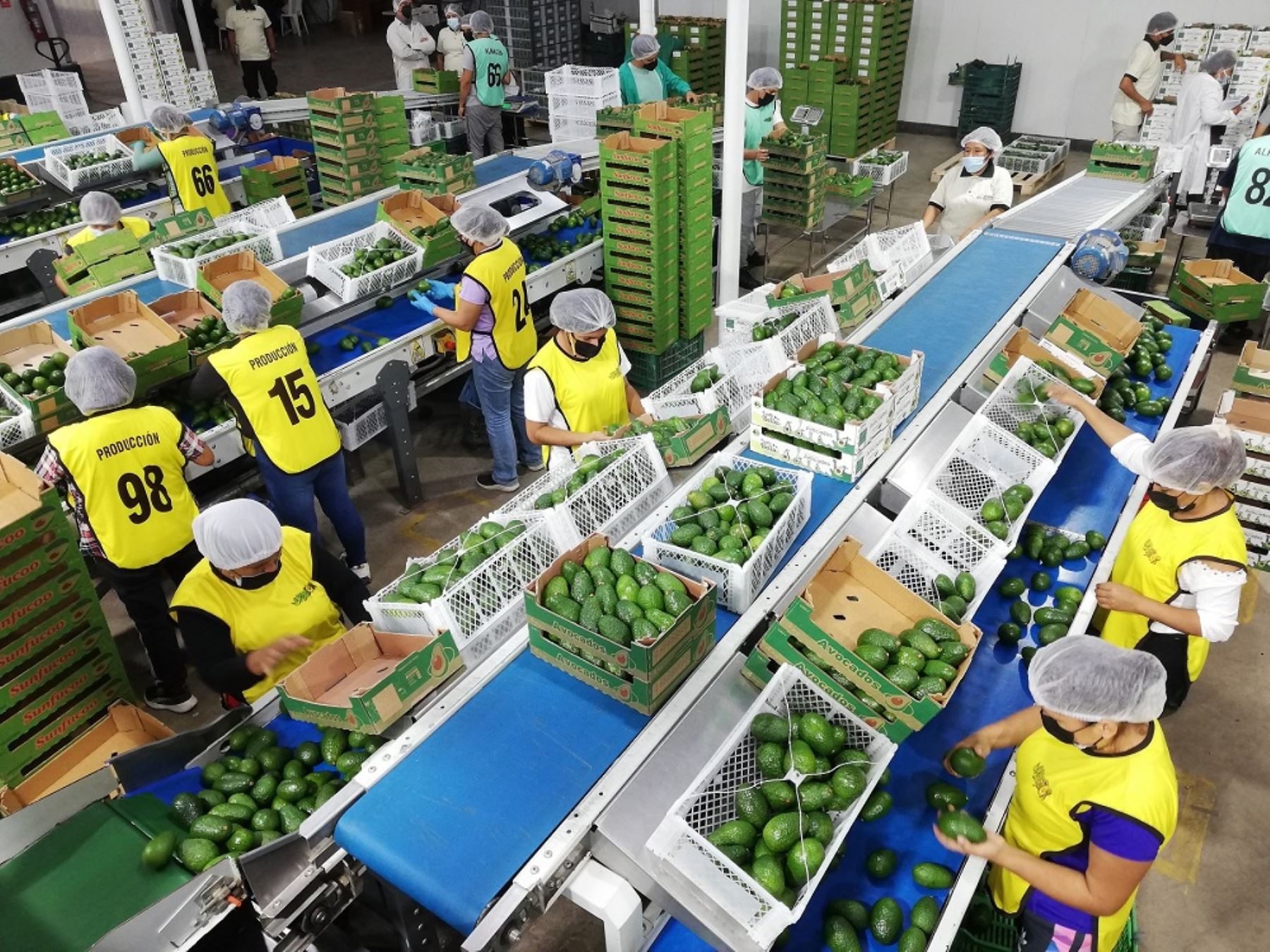 Nueva Ley Agraria: ¿Impulso a la agroexportación o riesgo para la recaudación fiscal?