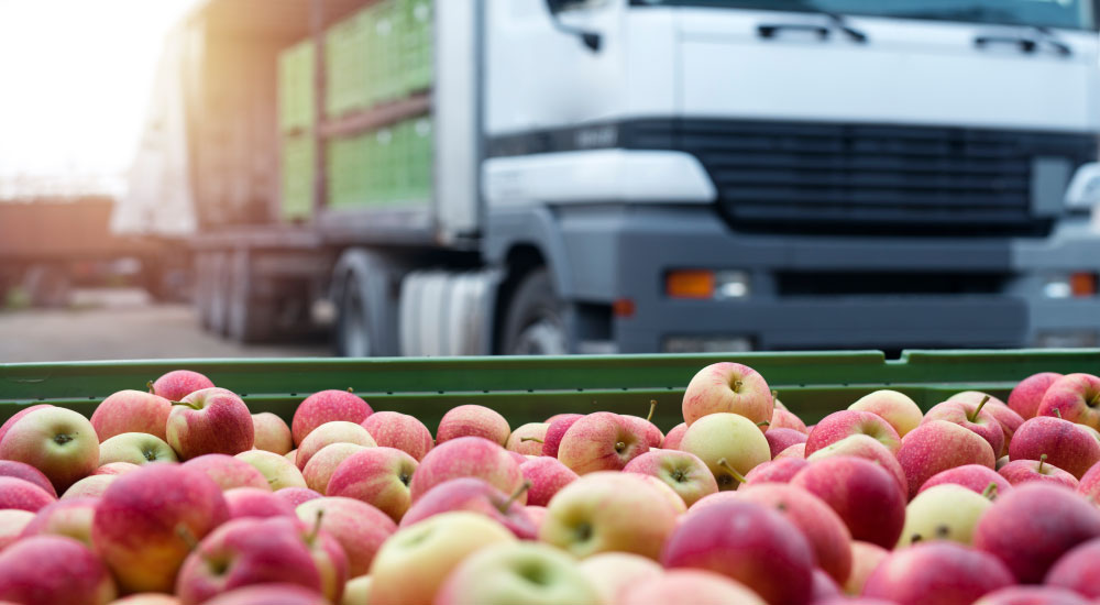 Supertifón Regasa: Impactos en el Transporte Marítimo y riesgos para las exportaciones peruanas de fruta